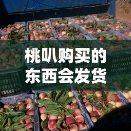 桃叭购买的东西会发货吗，桃买买回收商家秒到