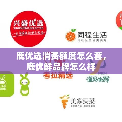 鹿优选消费额度怎么套，鹿优鲜品牌怎么样