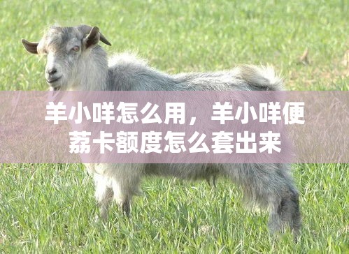 羊小咩怎么用，羊小咩便荔卡额度怎么套出来