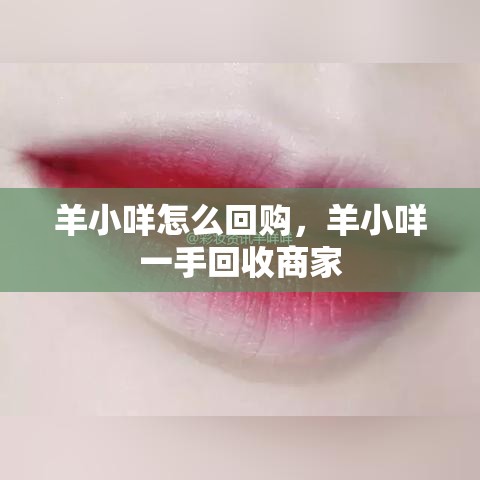 羊小咩怎么回购，羊小咩一手回收商家