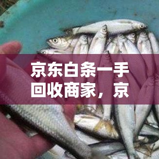 京东白条一手回收商家，京东白条回收平台