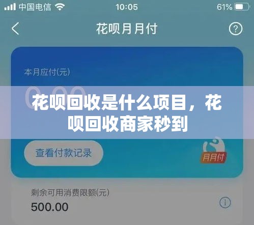 花呗回收是什么项目，花呗回收商家秒到