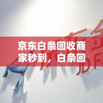 京东白条回收商家秒到，白条回收秒到账的口子