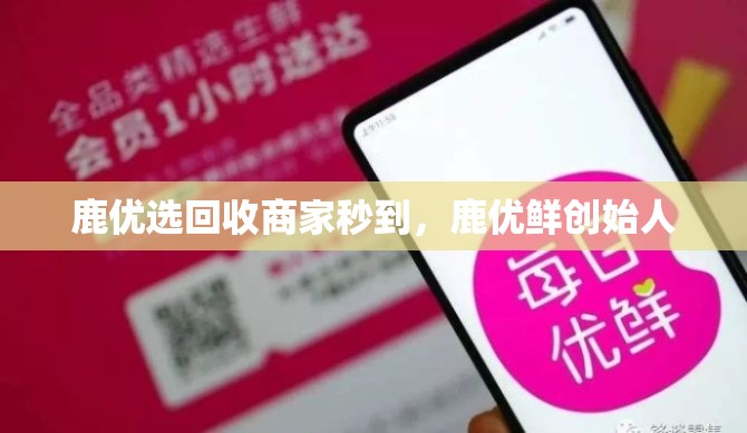鹿优选回收商家秒到，鹿优鲜创始人
