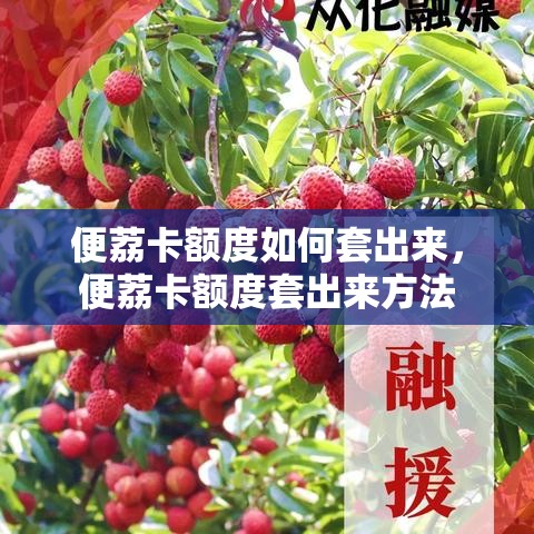 便荔卡额度如何套出来，便荔卡额度套出来方法