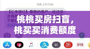 桃桃买房扫盲，桃买买消费额度套出来