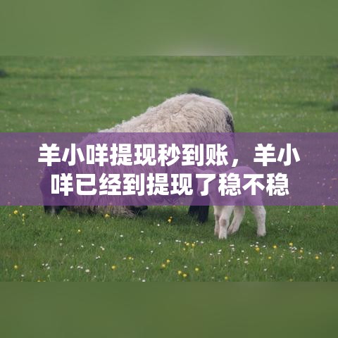 羊小咩提现秒到账，羊小咩已经到提现了稳不稳