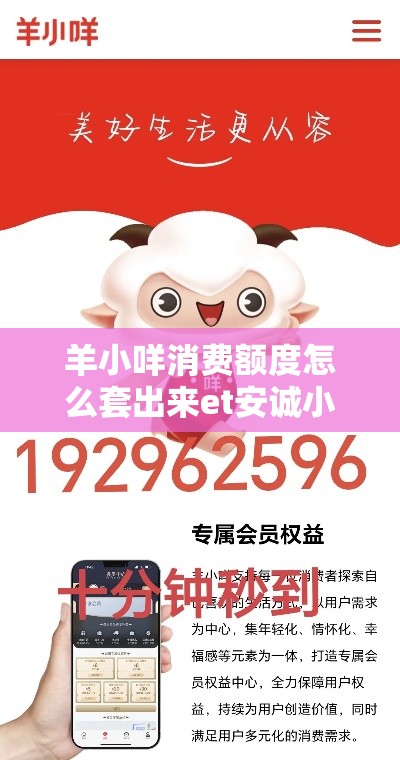 羊小咩消费额度怎么套出来et安诚小铺or助富掌柜，羊小咩消费额度怎么套