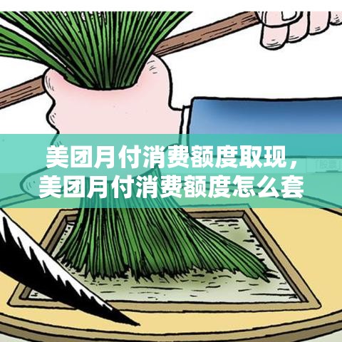 美团月付消费额度取现，美团月付消费额度怎么套现