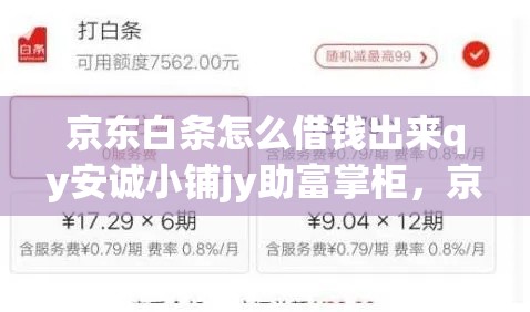 京东白条怎么借钱出来qy安诚小铺jy助富掌柜，京东白条怎么借钱出来