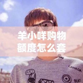 羊小咩购物额度怎么套出来，羊小咩购物额度怎么用