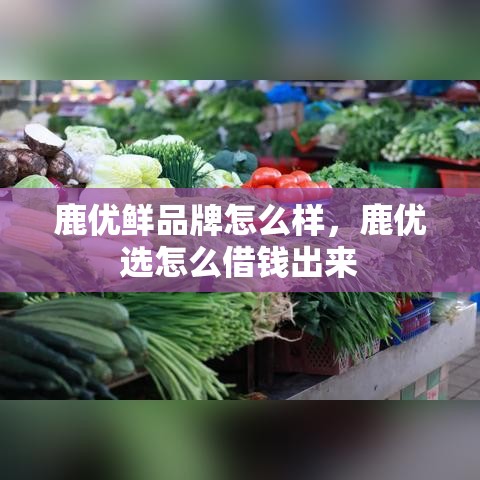 鹿优鲜品牌怎么样，鹿优选怎么借钱出来