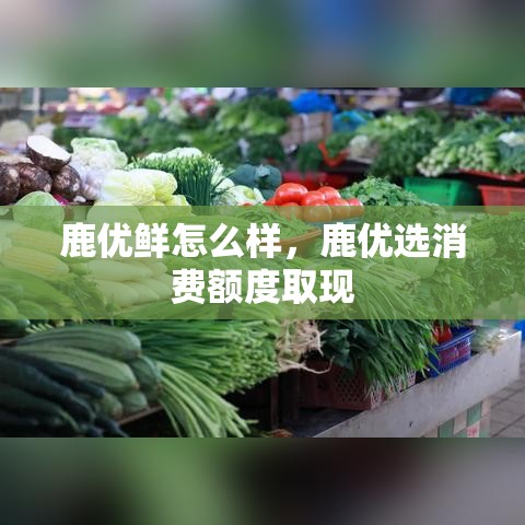 鹿优鲜怎么样，鹿优选消费额度取现