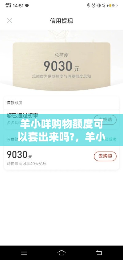 羊小咩购物额度可以套出来吗?，羊小咩购物额度怎么套出来