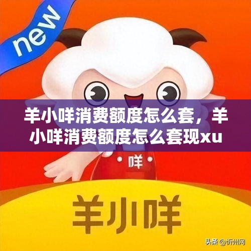 羊小咩消费额度怎么套，羊小咩消费额度怎么套现xu安诚小铺ut助富掌柜