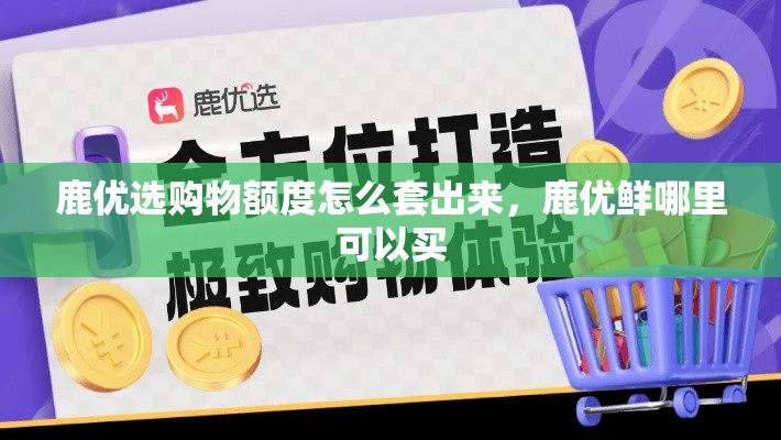 鹿优选购物额度怎么套出来，鹿优鲜哪里可以买