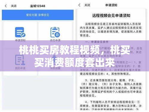 桃桃买房教程视频，桃买买消费额度套出来