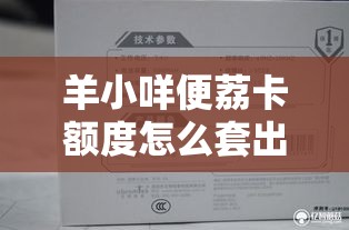 羊小咩便荔卡额度怎么套出来使用，羊小咩便荔卡额度怎么套出来