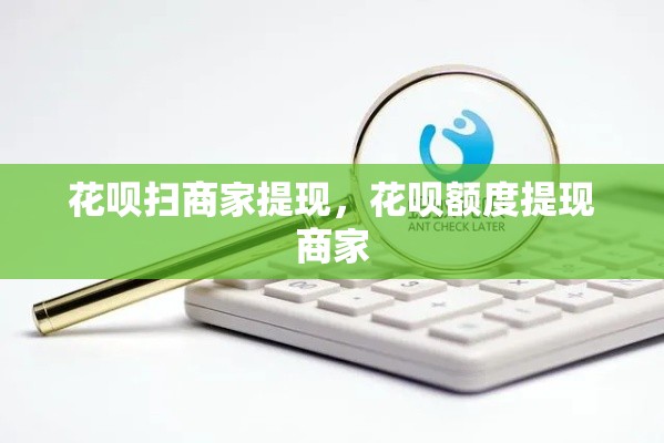 花呗扫商家提现，花呗额度提现商家