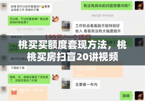 桃买买额度套现方法，桃桃买房扫盲20讲视频