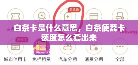 白条卡是什么意思，白条便荔卡额度怎么套出来