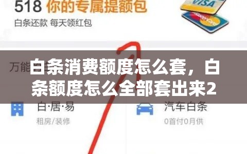 白条消费额度怎么套，白条额度怎么全部套出来2020年
