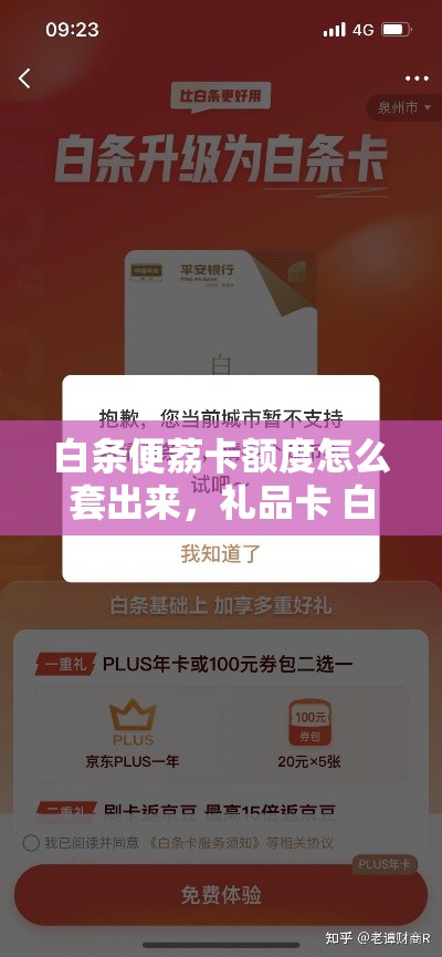 白条便荔卡额度怎么套出来，礼品卡 白条