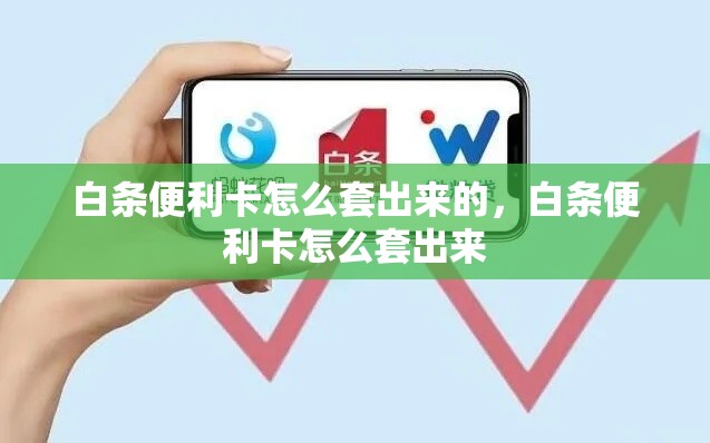 白条便利卡怎么套出来的，白条便利卡怎么套出来