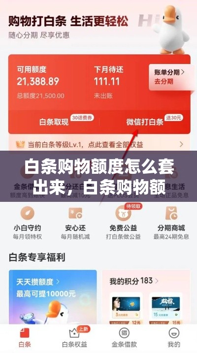 白条购物额度怎么套出来，白条购物额度如何套出来