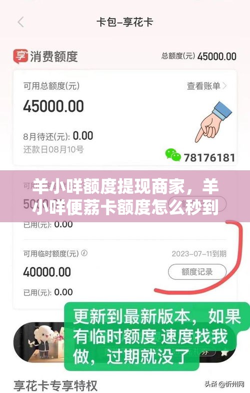 羊小咩额度提现商家，羊小咩便荔卡额度怎么秒到