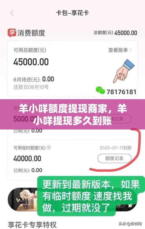 羊小咩额度提现商家，羊小咩提现多久到账