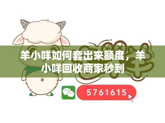 羊小咩如何套出来额度，羊小咩回收商家秒到
