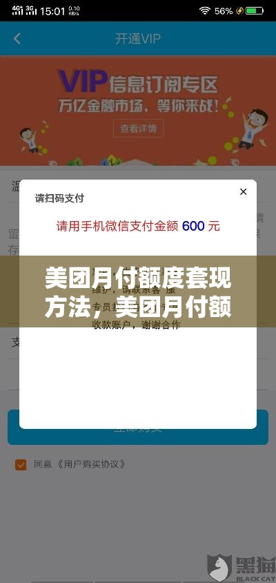 2025忍者强度排行榜，忍者实力排行