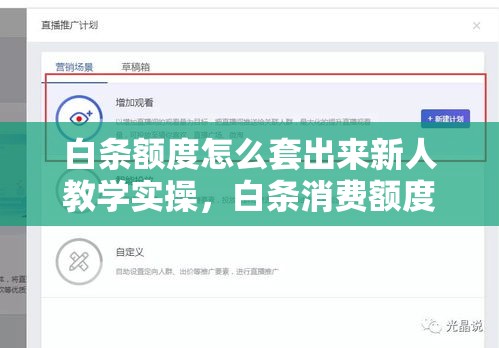 白条额度怎么套出来新人教学实操，白条消费额度套出来