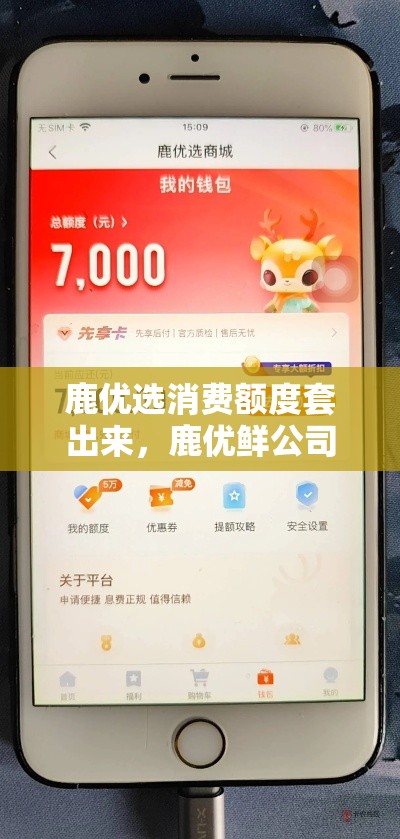 鹿优选消费额度套出来，鹿优鲜公司
