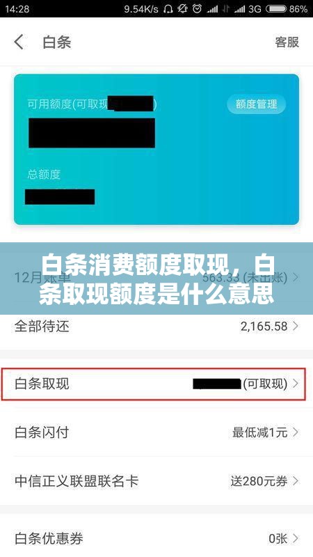 白条消费额度取现，白条取现额度是什么意思