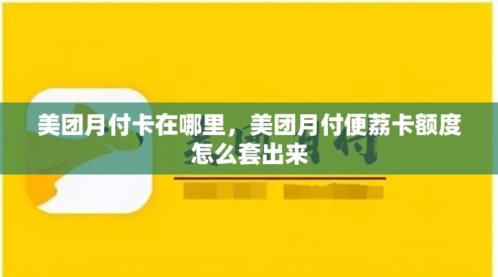 美团月付卡在哪里，美团月付便荔卡额度怎么套出来