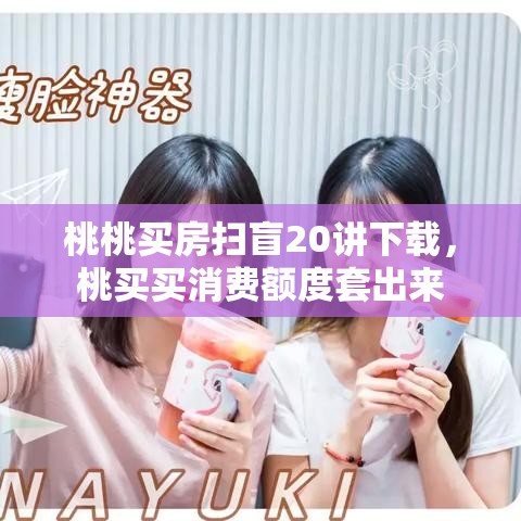 桃桃买房扫盲20讲下载，桃买买消费额度套出来