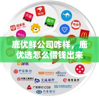 鹿优鲜公司咋样，鹿优选怎么借钱出来