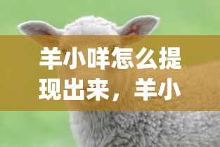 羊小咩怎么提现出来，羊小咩怎么提现出来yz安诚小铺vt助富掌柜