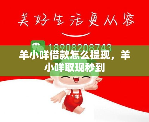 羊小咩借款怎么提现，羊小咩取现秒到