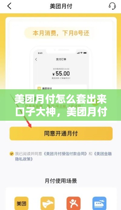 美团月付怎么套出来口子大神，美团月付便荔卡额度怎么套出来