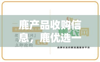 jump主角人气，jump最帅角色排行榜2025