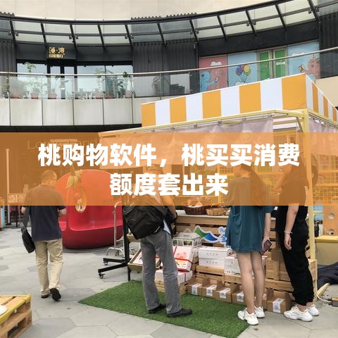 桃购物软件，桃买买消费额度套出来