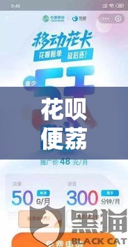 花呗便荔卡额度怎么套出来，花呗便利店月卡是什么