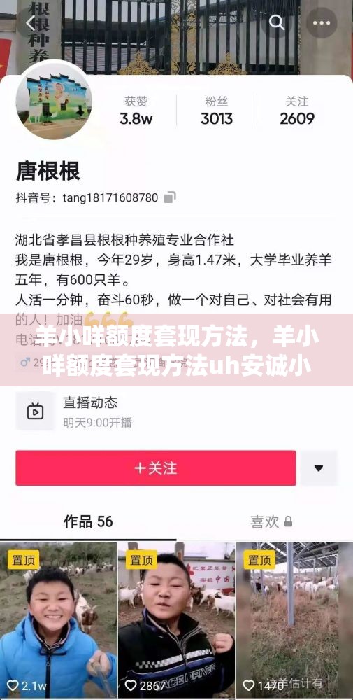 羊小咩额度套现方法，羊小咩额度套现方法uh安诚小铺wh助富掌柜