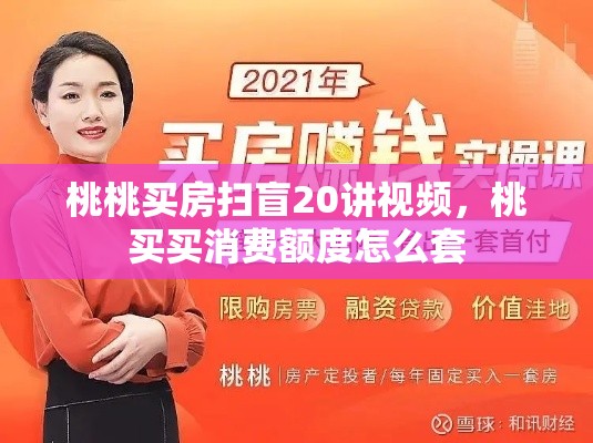 桃桃买房扫盲20讲视频，桃买买消费额度怎么套