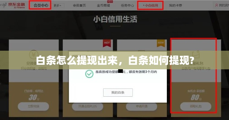 白条怎么提现出来，白条如何提现?