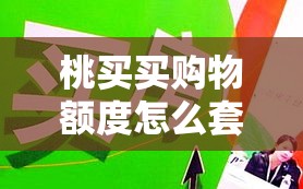 桃买买购物额度怎么套出来，桃桃买房教程视频