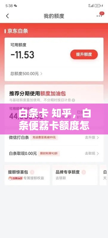 白条卡 知乎，白条便荔卡额度怎么套出来